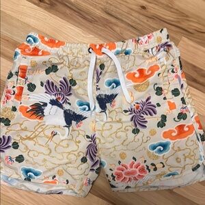 Men's Multicolor Swim Trunks